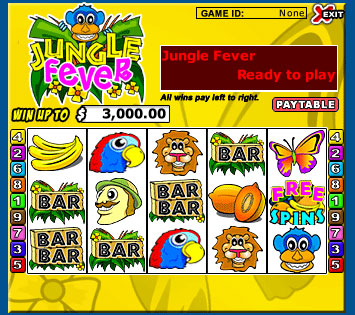 bingo cafe jungle fever 5 reel online slots game