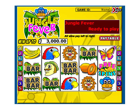 bingo cafe jungle fever 5 reel online slots game
